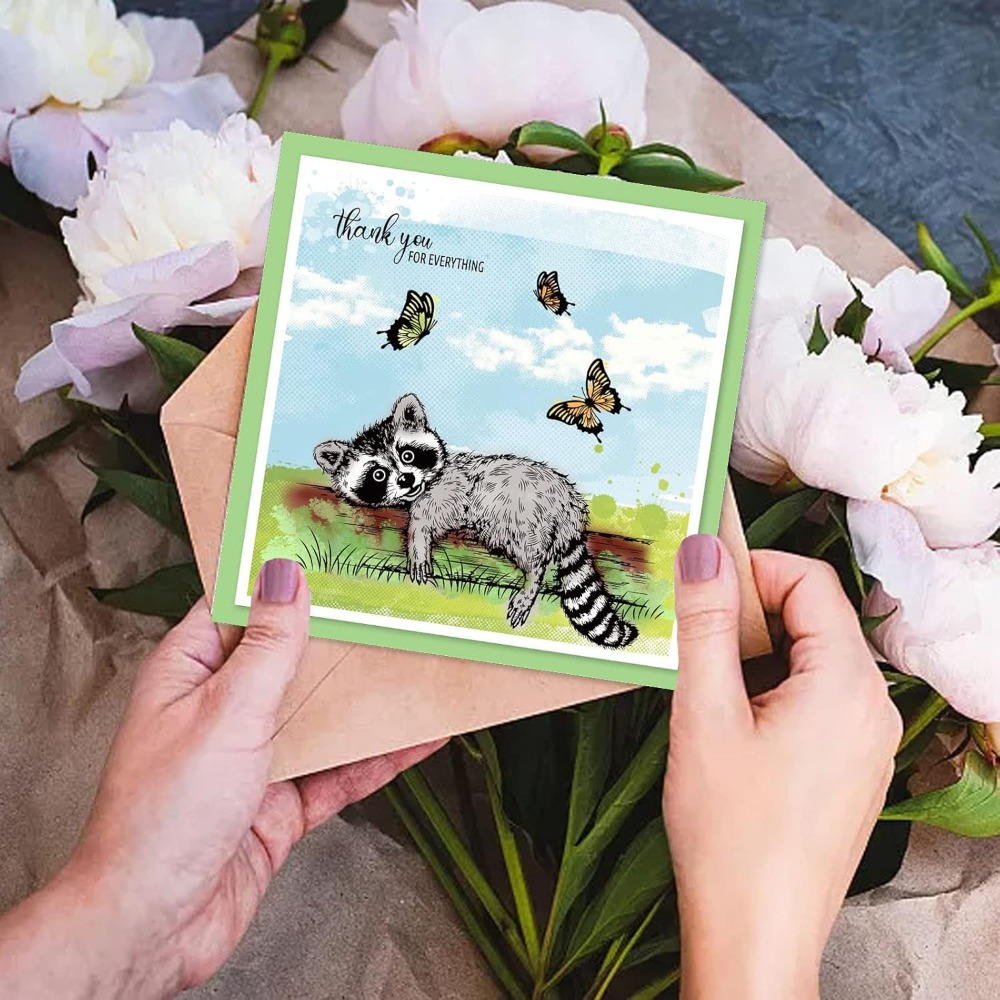 Realistic Raccoons Clear Stamp - đánh giá và giá Clear Silicone Stamps For Card Making
